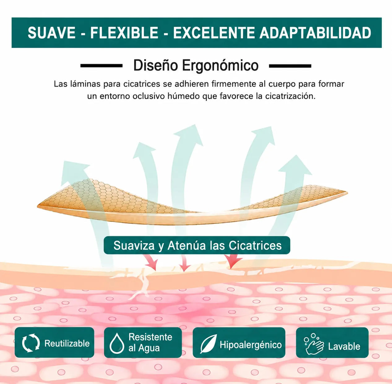 Diagrama de cómo la silicona hidrata y protege la piel de la cicatriz